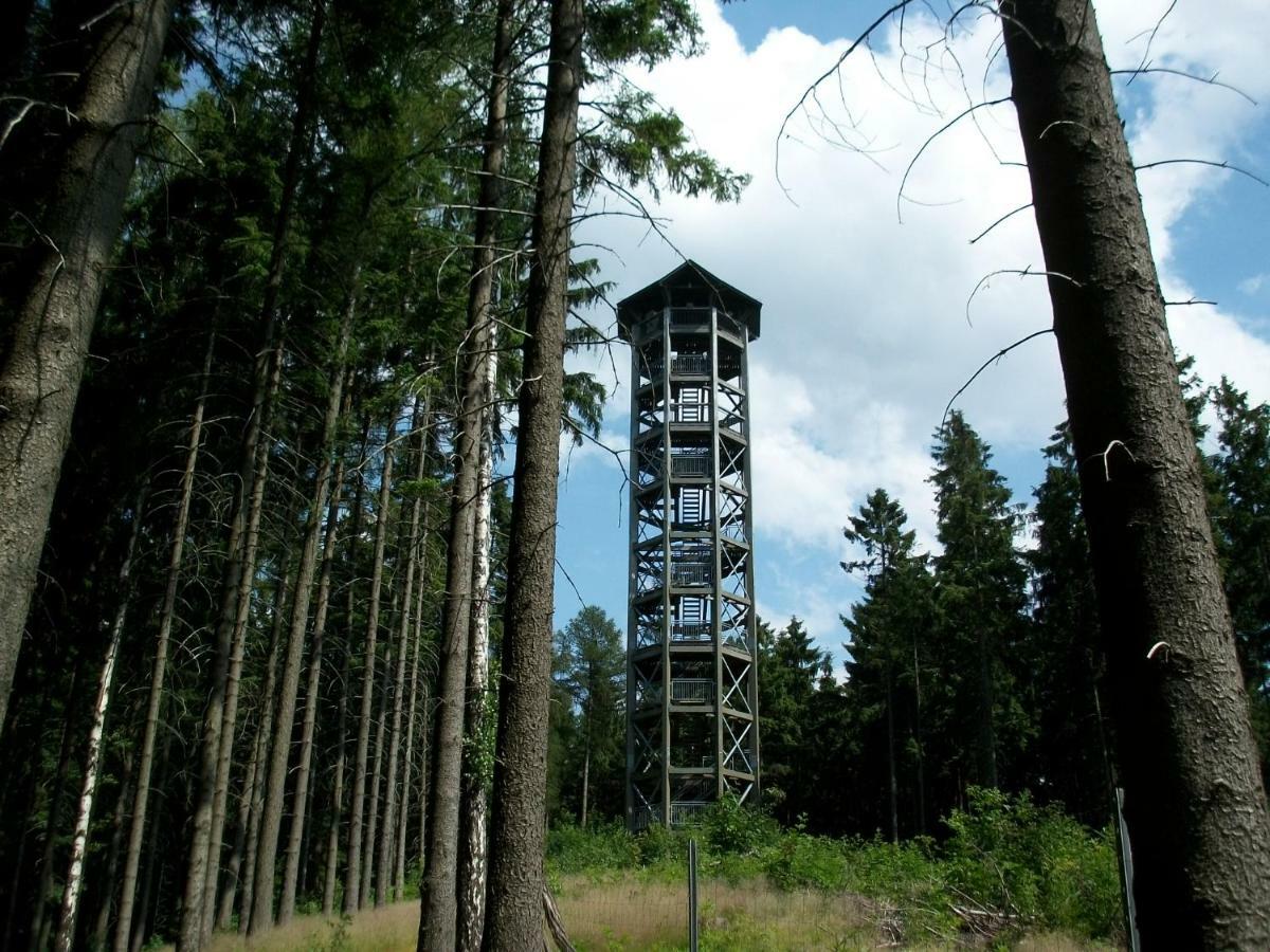 Апартаменты Fewo Hoyer Хинтерхермсдорф Экстерьер фото